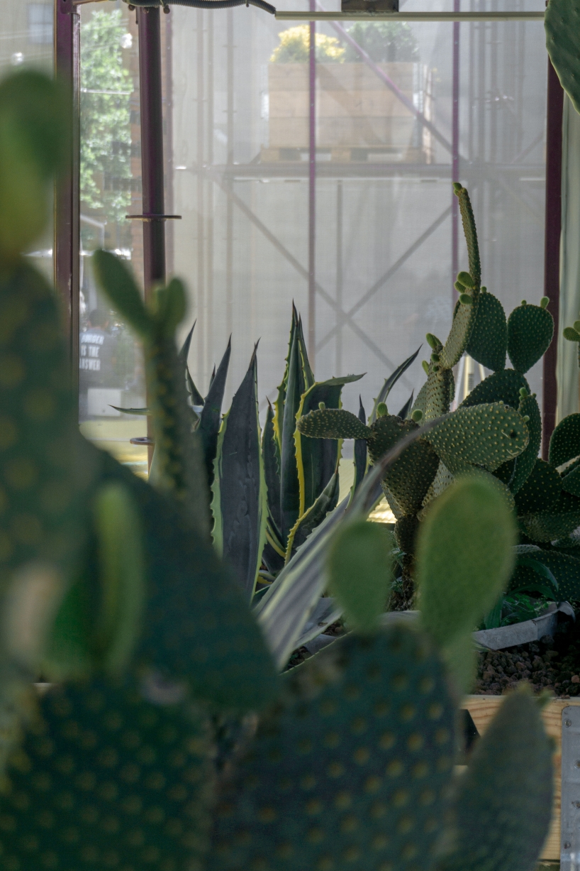 bomontiada temporary landscape installation barn arch 10