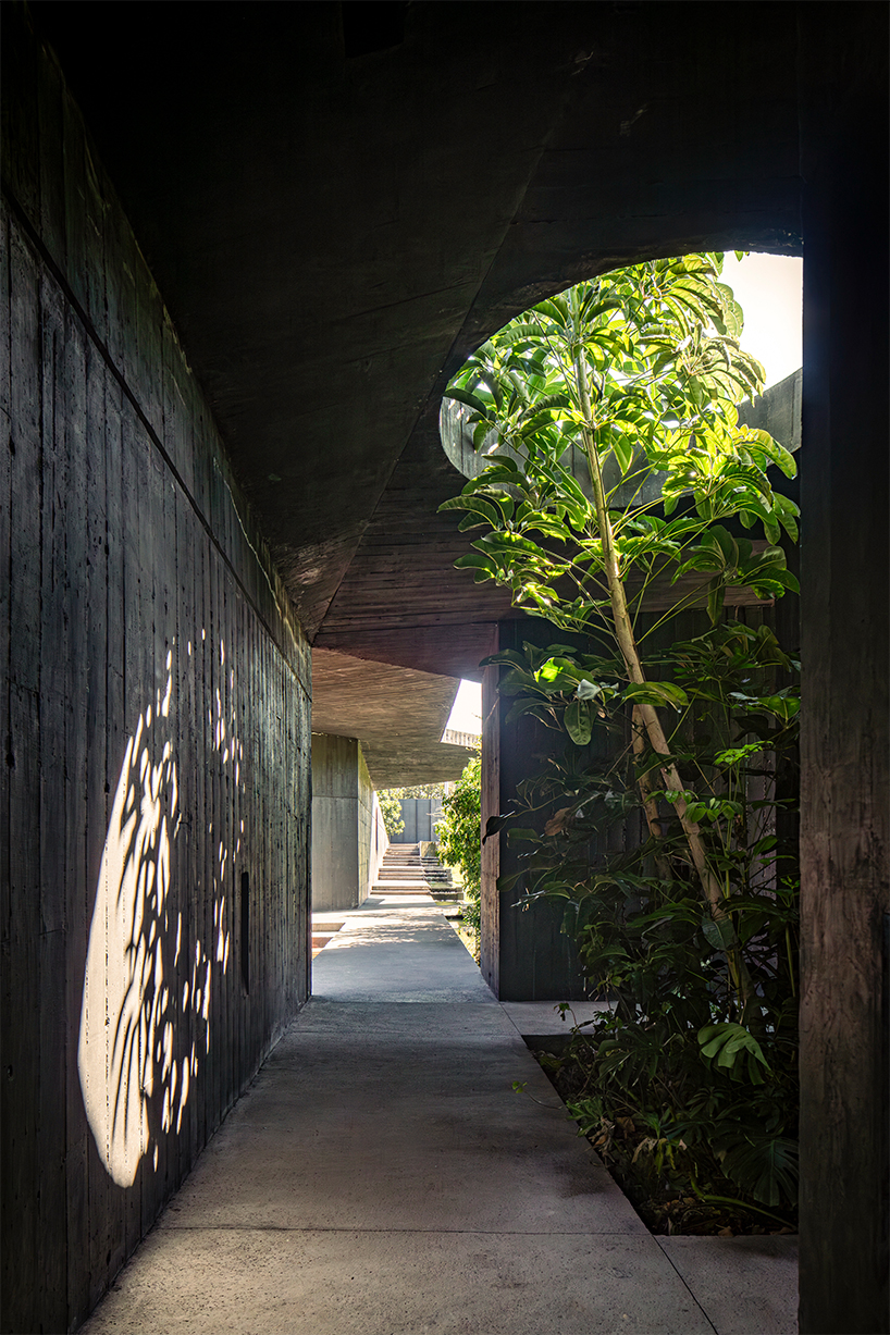 two intersecting volumes of black concrete carve mavra house into the mexican landscape - 9
