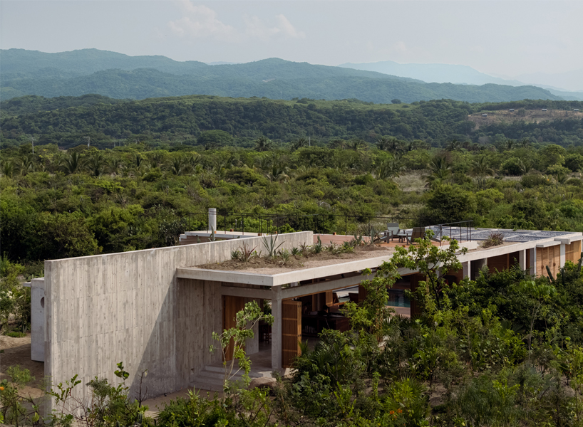 planted roof connects concrete casa cieno by TAC to oaxacan coast - 3