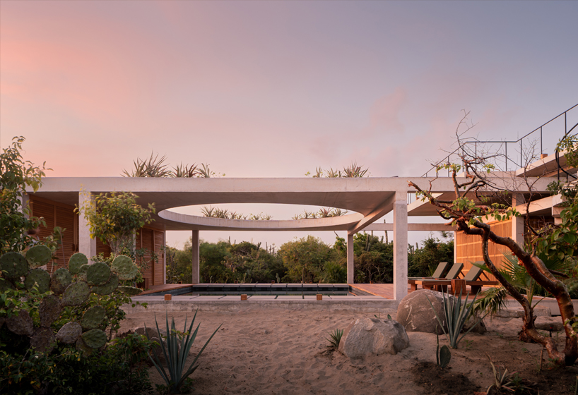planted roof connects concrete casa cieno by TAC to oaxacan coast - 8