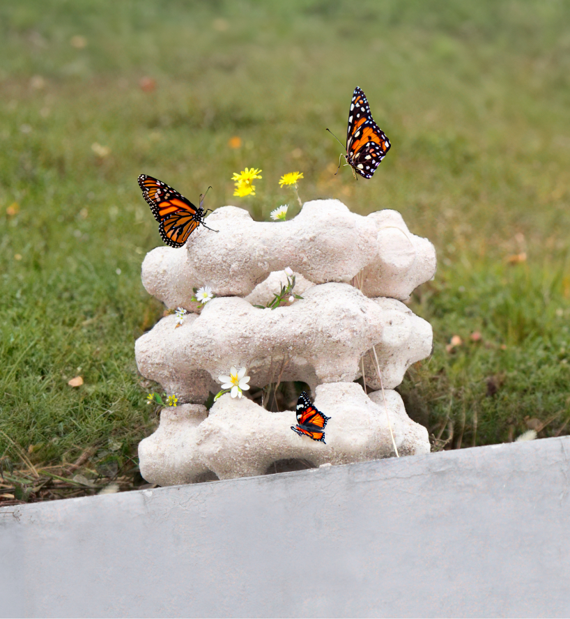 biodegradable modular nest made of eggshells attracts butterflies to city centers