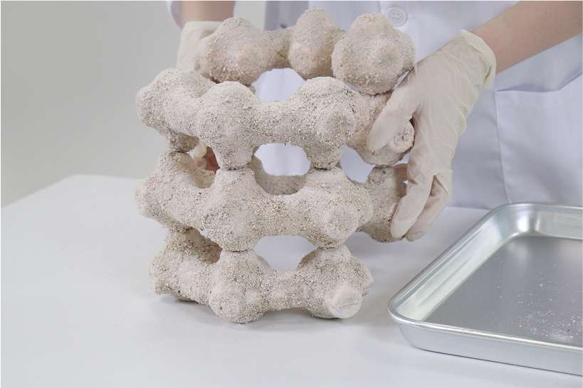 biodegradable modular nest made of eggshells attracts butterflies to city centers