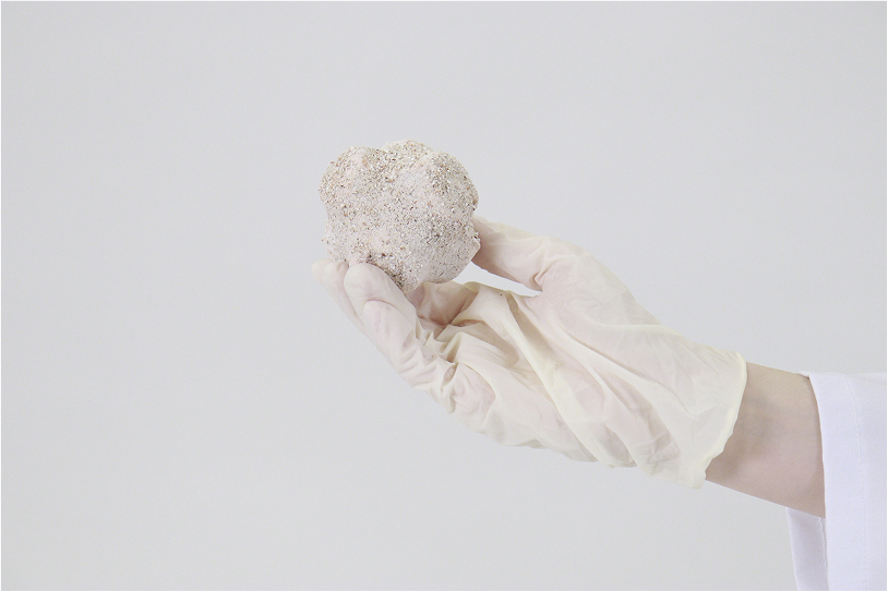 biodegradable modular nest made of eggshells attracts butterflies to city centers