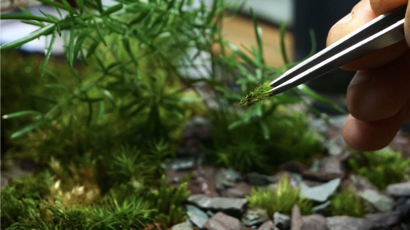 nature grows even on concrete mondobruto turns brutalism into living habitats 8