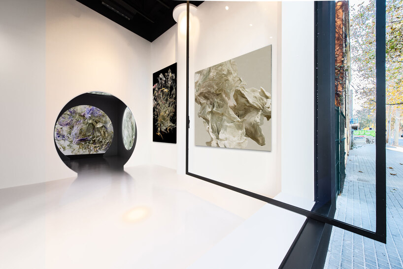 load gallery's immersive 360-degree setup showcases digital art exhibition in barcelona