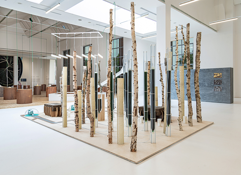 ecoLogicStudio reimagines domesticity through microbial installation at triennale milano