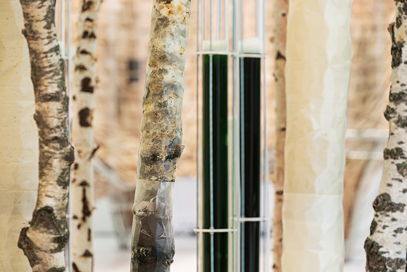 ecoLogicStudio reimagines domesticity through microbial installation at triennale milano