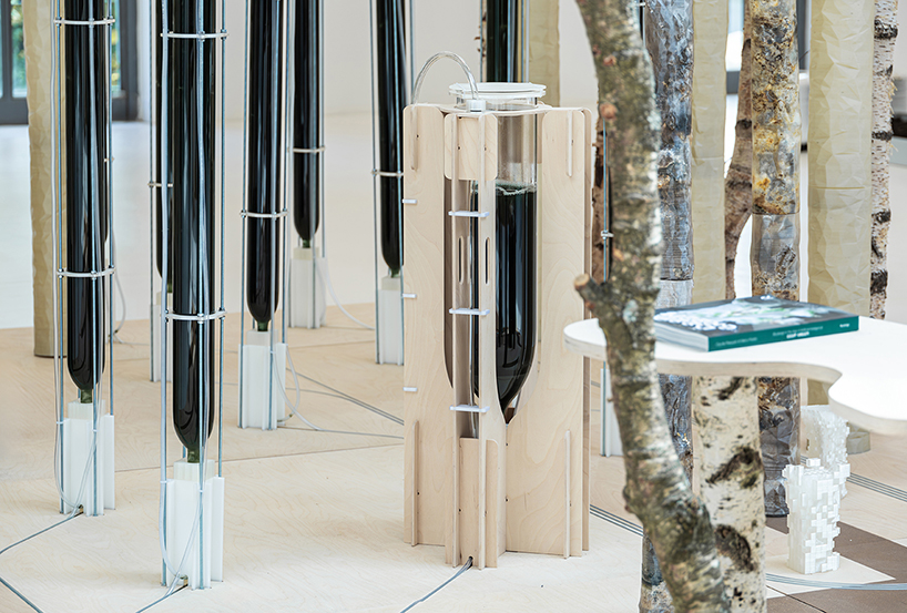 ecoLogicStudio reimagines domesticity through microbial installation at triennale milano