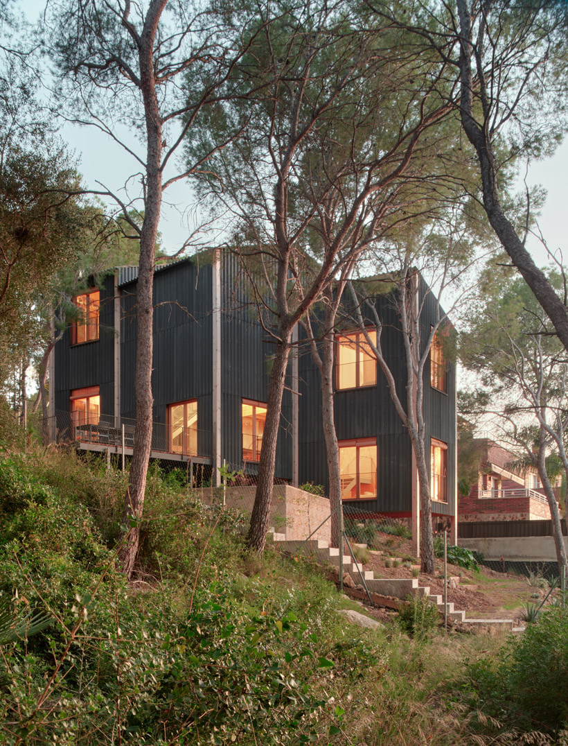 lightweight timber house in spain interlaces three raised volumes within tree canopy