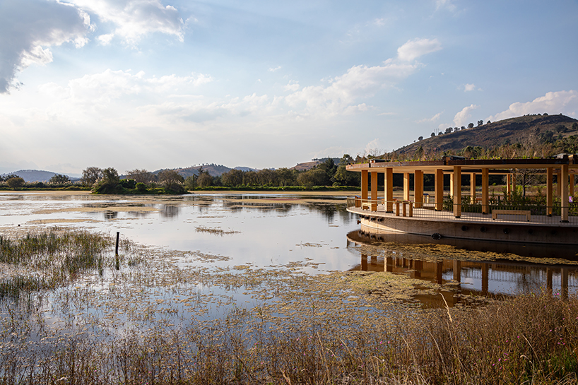 circular timber pavilion anchors wildlife and wetland restoration park in mexico - 1