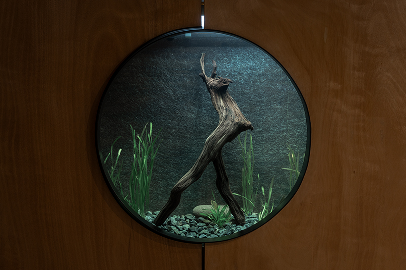 circular timber pavilion anchors wildlife and wetland restoration park in mexico - 11