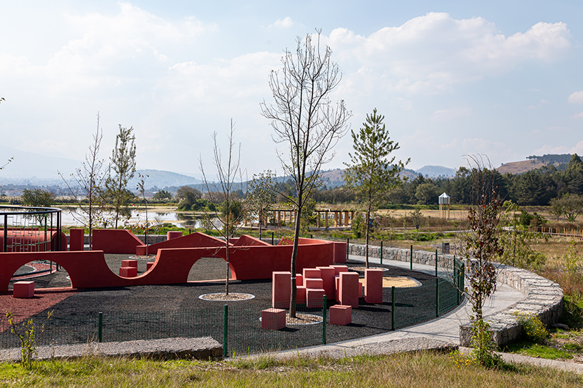 circular timber pavilion anchors wildlife and wetland restoration park in mexico - 4