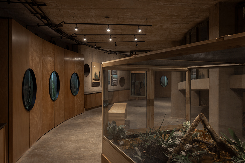 circular timber pavilion anchors wildlife and wetland restoration park in mexico - 6