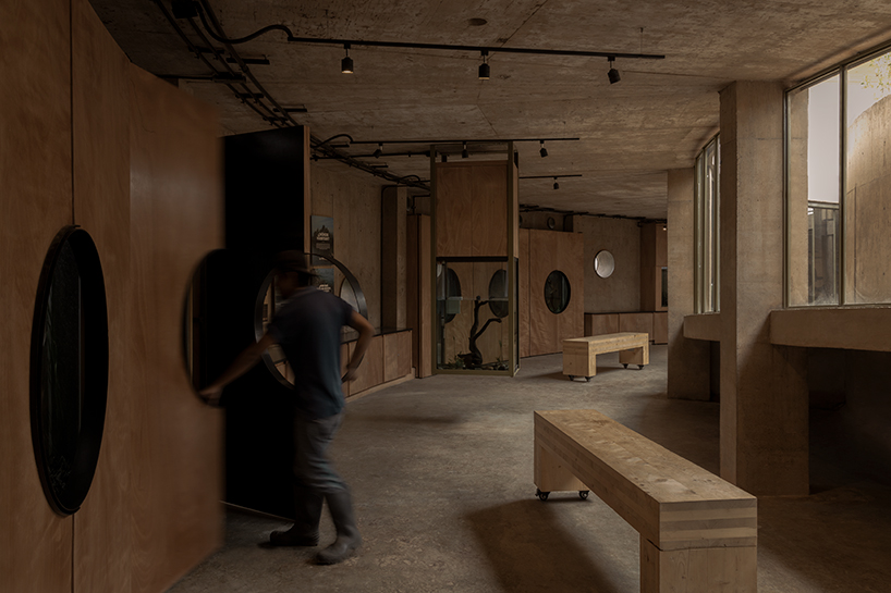 circular timber pavilion anchors wildlife and wetland restoration park in mexico - 7