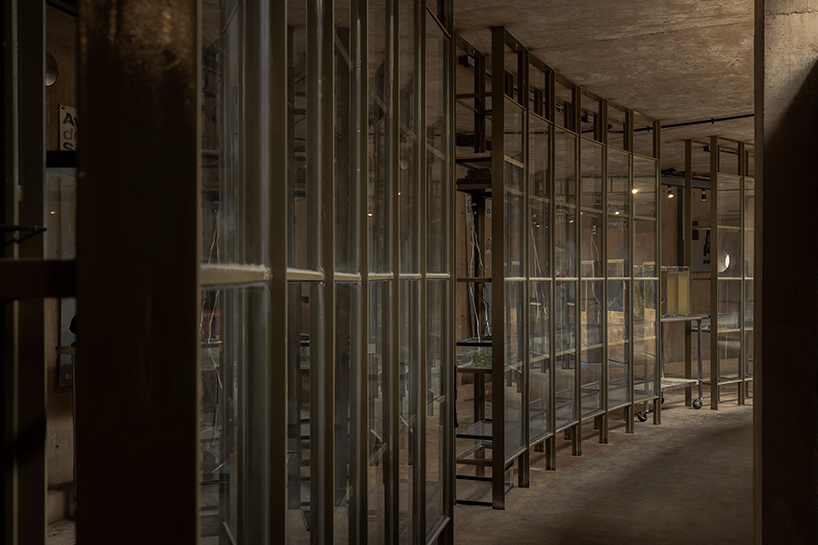 circular timber pavilion anchors wildlife and wetland restoration park in mexico - 8