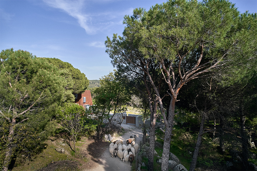 Kabin sudut baja Corten muncul di antara hutan Pergamon di Türkiye