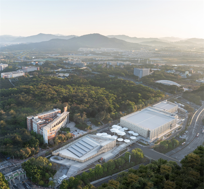 university campus gymnasium in south china blends athletics with urban vitality