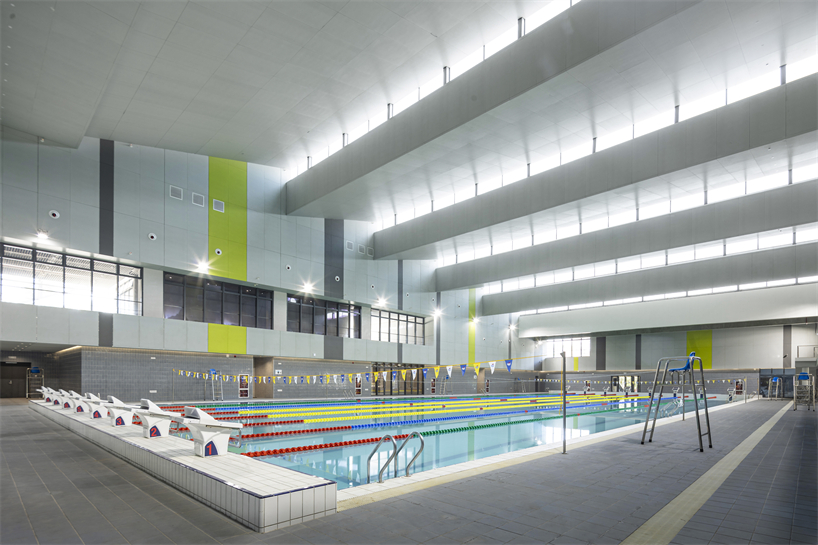 university campus gymnasium in south china blends athletics with urban vitality