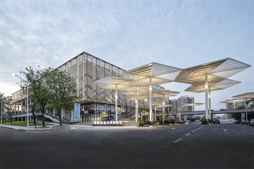 university campus gymnasium in south china blends athletics with urban vitality