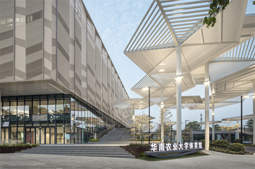 university campus gymnasium in south china blends athletics with urban vitality