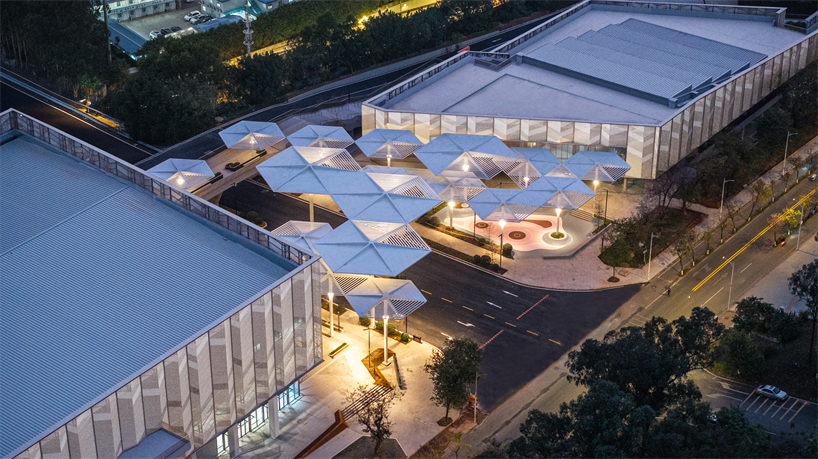 university campus gymnasium in south china blends athletics with urban vitality