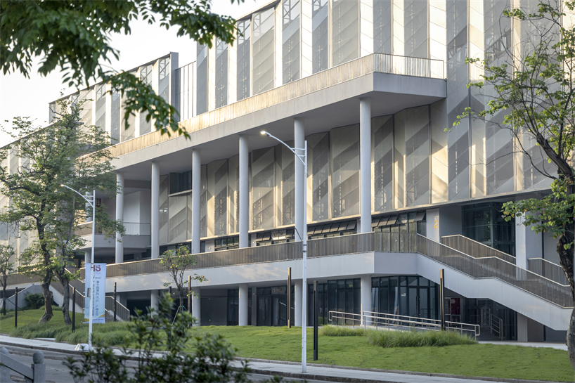 university campus gymnasium in south china blends athletics with urban vitality