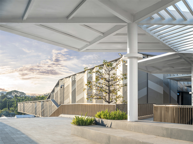 university campus gymnasium in south china blends athletics with urban vitality