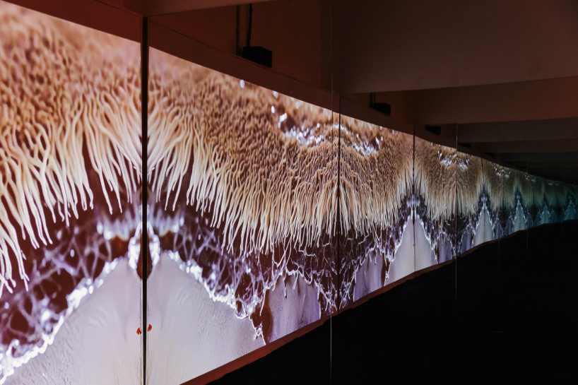 La exposición de Black Void en Shanghai muestra un planeta cambiante a través de la instalación de la nube digital