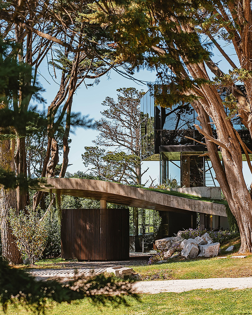 casa moro's green concrete mantle follows natural slope of forested terrain in buenos aires