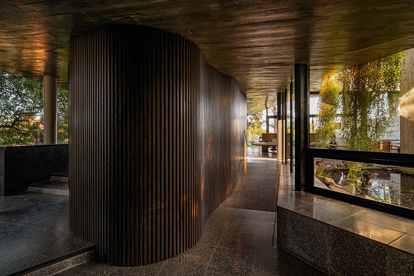 casa moro's green concrete mantle follows natural slope of forested terrain in buenos aires
