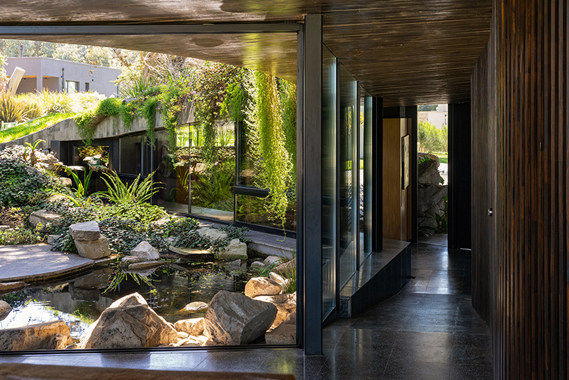 casa moro's green concrete mantle follows natural slope of forested terrain in buenos aires