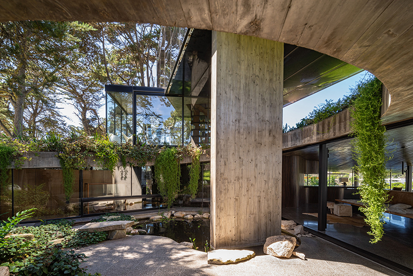 casa moro's green concrete mantle follows natural slope of forested terrain in buenos aires