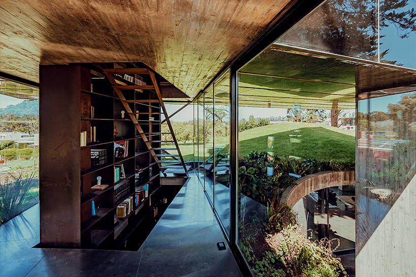 casa moro's green concrete mantle follows natural slope of forested terrain in buenos aires