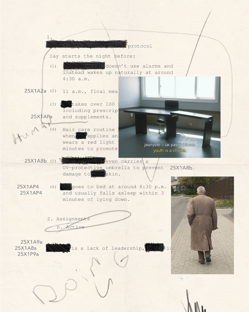 laboratory of inactivity mixed media installation critiques productivity culture