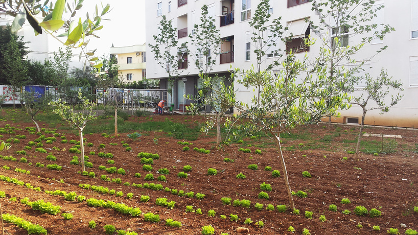 studio libeskind & kontakt weave public gardens through curved residences in tirana