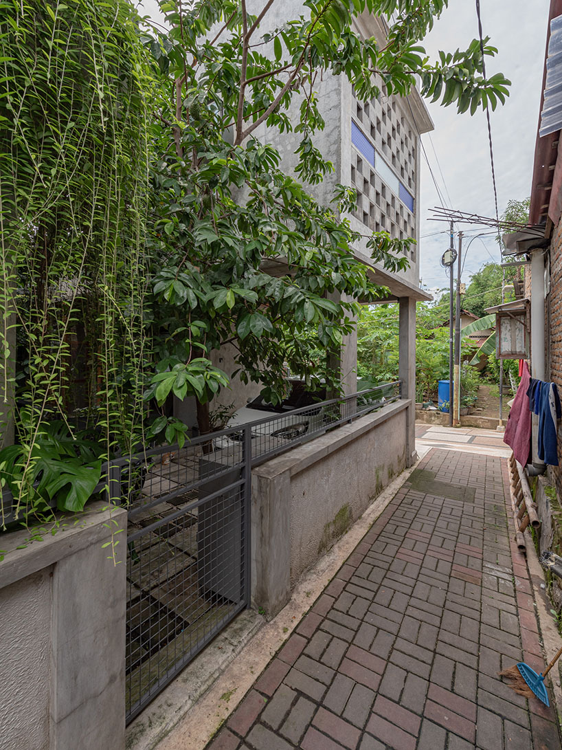 entre cuatro jardines 4