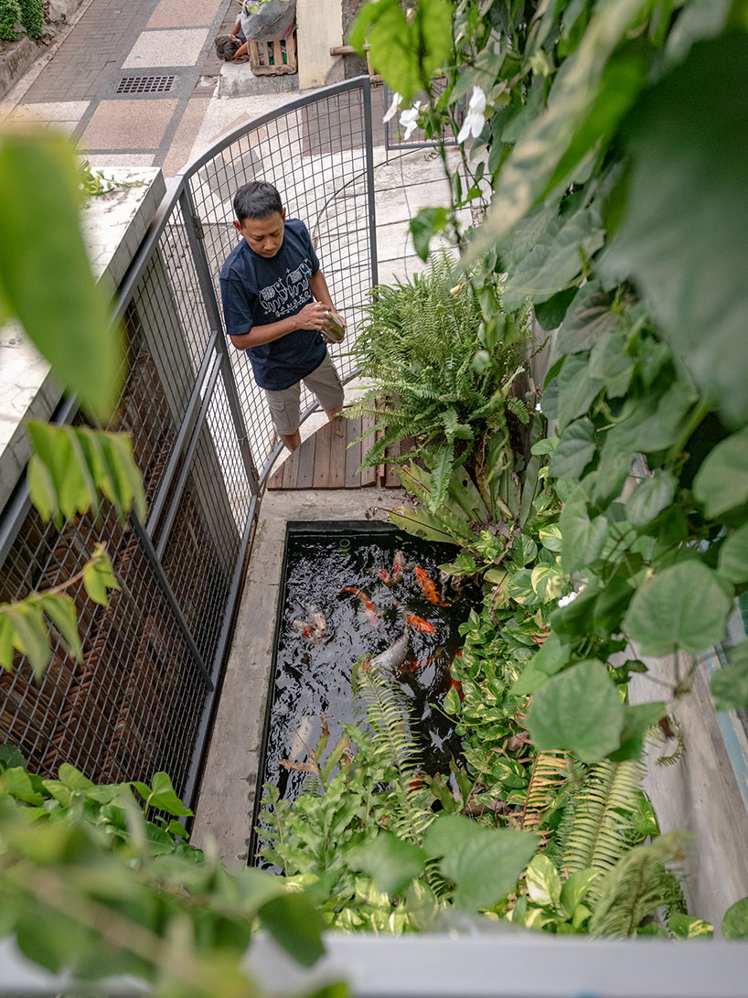 entre cuatro jardines 5