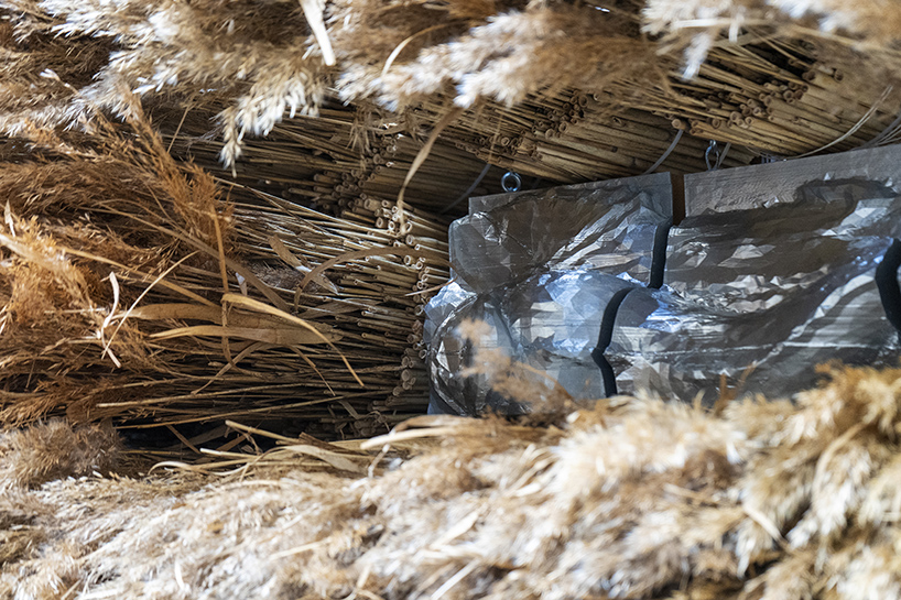 mirroring pillowed walls filled with reed grass compose sensory installation in montpellier
