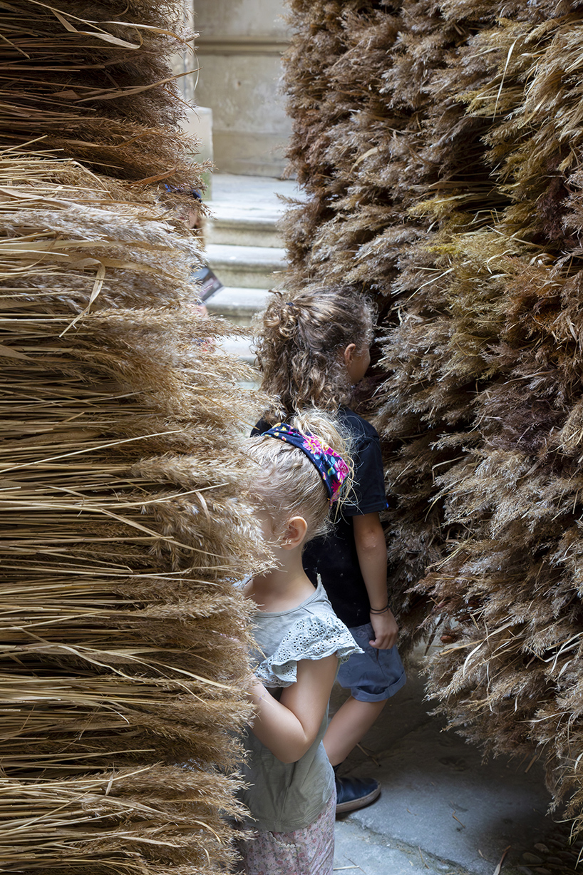 mirroring pillowed walls filled with reed grass compose sensory installation in montpellier