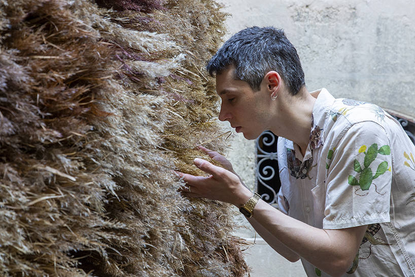 mirroring pillowed walls filled with reed grass compose sensory installation in montpellier