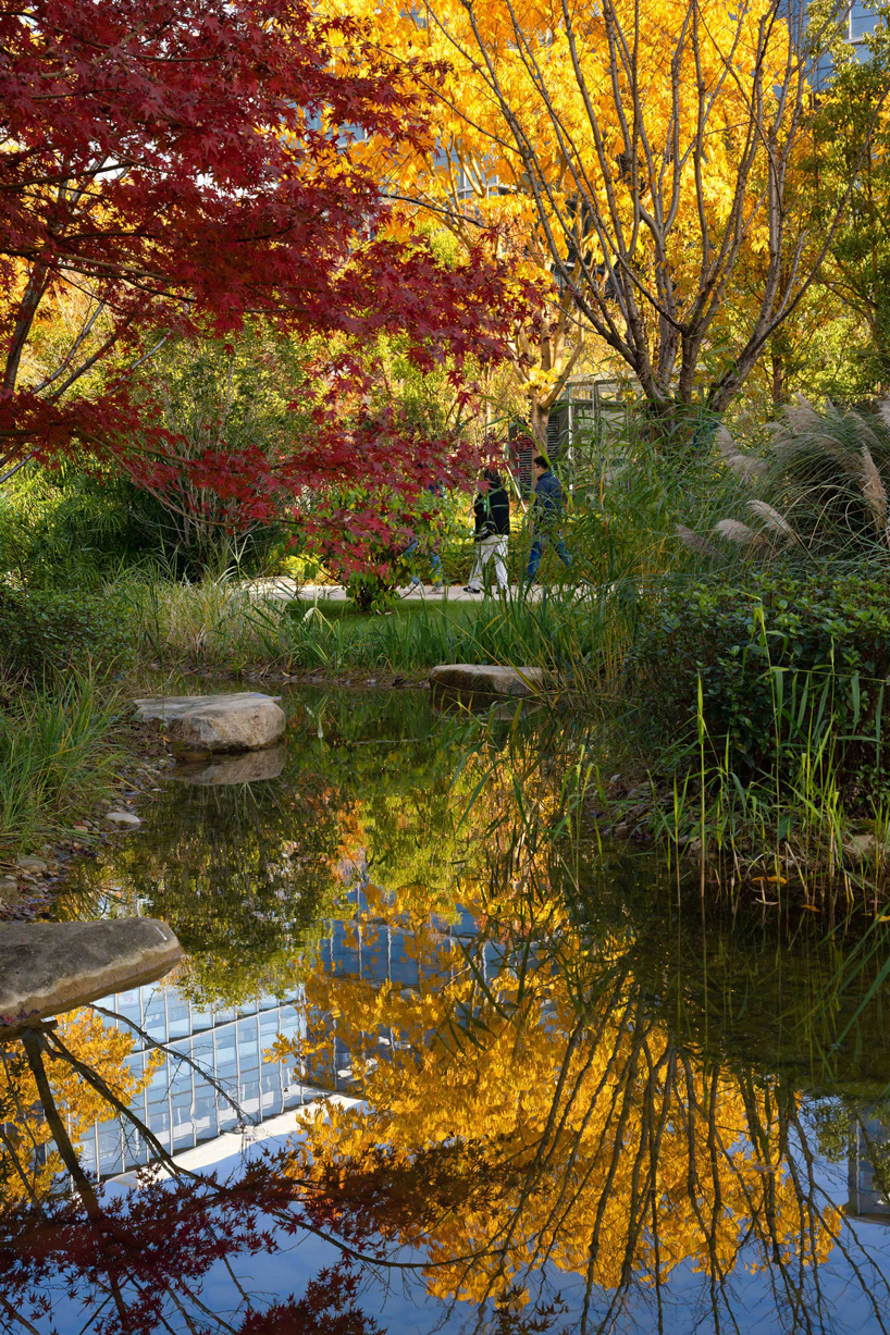 ASPECT studios' regenerative campus landscape for alibaba stands on multi-story podium