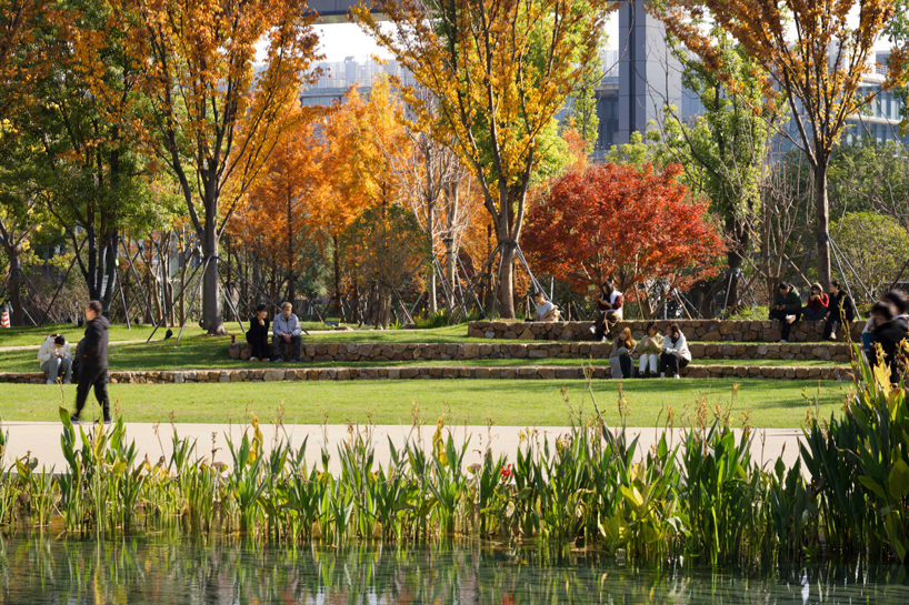 ASPECT studios' regenerative campus landscape for alibaba stands on multi-story podium
