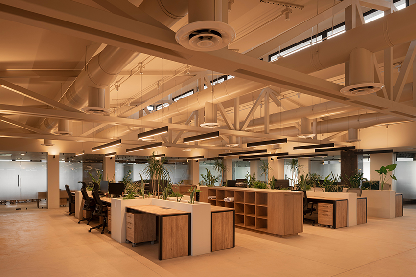 Oficina del mercado de Canyon 3