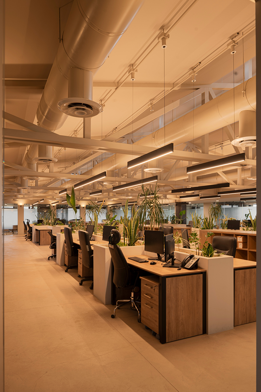 Oficina del mercado de Canyon 5