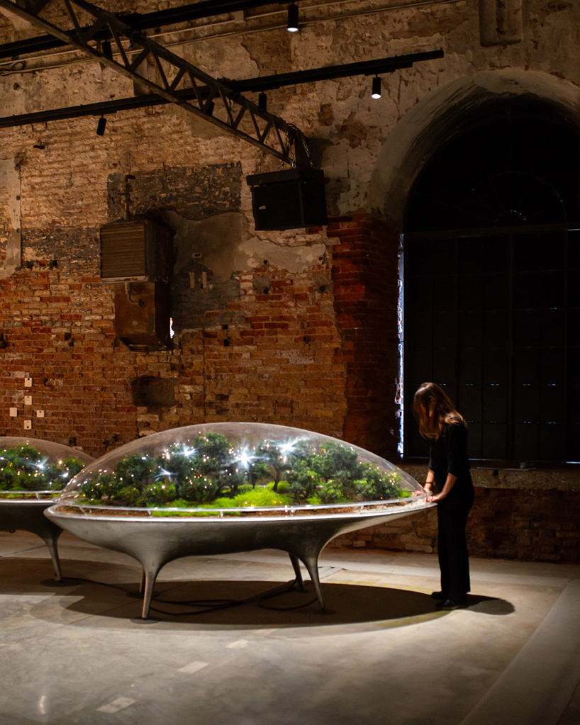 El reflejo del paisaje de la ciudad de las plantas es un sistema compartido entre los humanos naturales y la inteligencia artificial 10