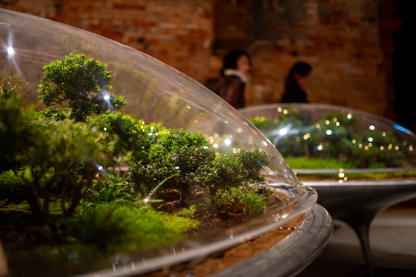 El reflejo del paisaje de la ciudad de las plantas es un sistema compartido entre humanos naturales e inteligencia artificial 3