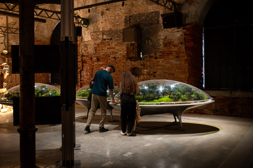 city of plants a reflection on landscape as a shared system between nature humanity and artificial intelligence 5