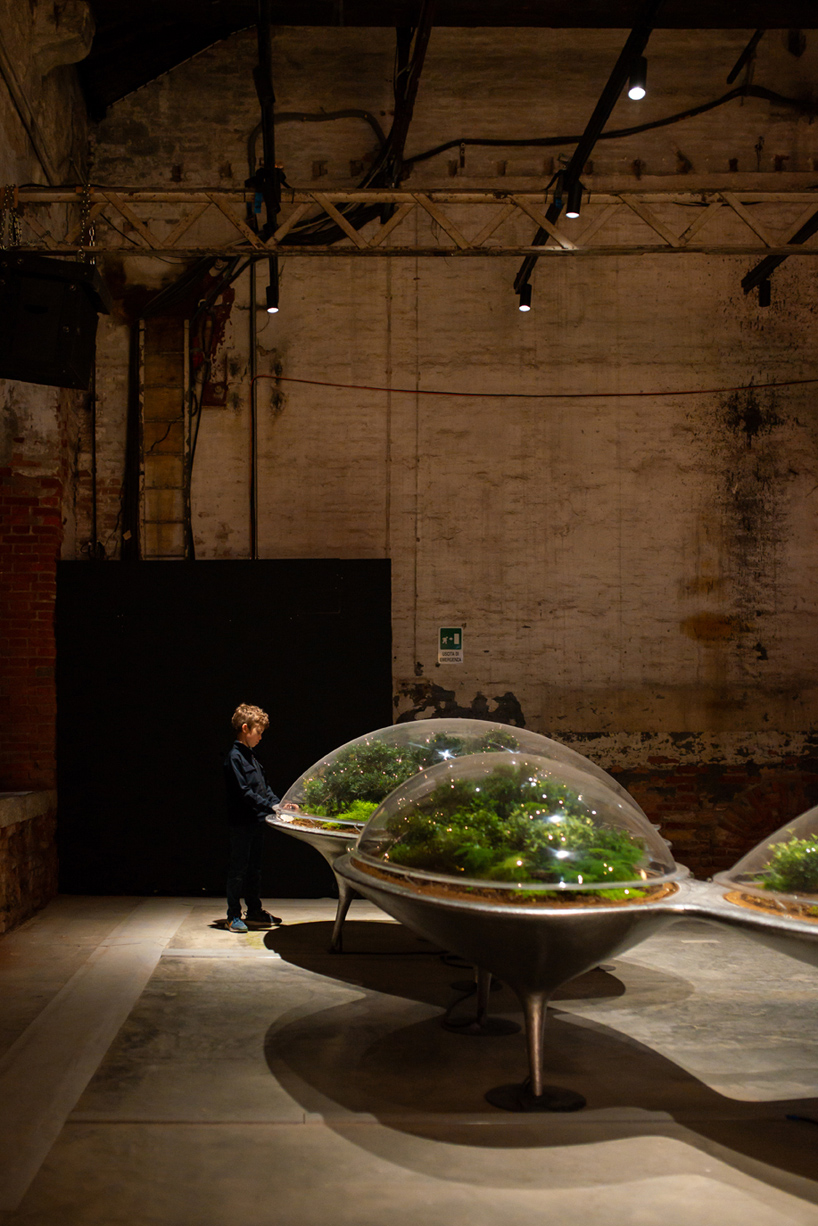 city of plants a reflection on landscape as a shared system between nature humanity and artificial intelligence 9