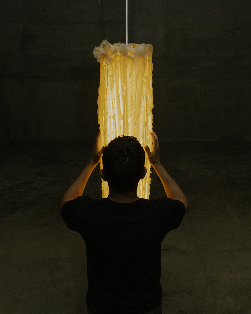 bacterial cellulose transforms into translucent ruffled lighting sculptures