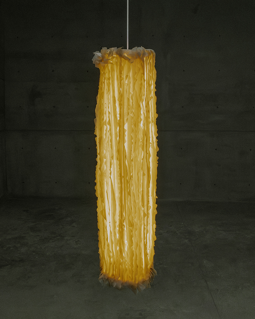 bacterial cellulose transforms into translucent ruffled lighting sculptures